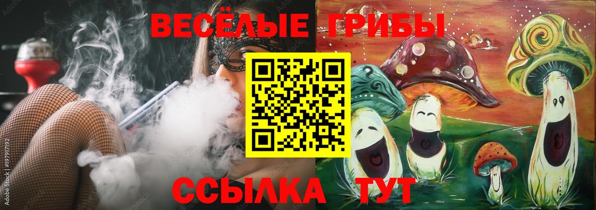Галлюциногенные грибы Magic Shrooms  Галлюциногенные грибы GOLDEN TEACHER  Бахчисарай  Вход с VPN 